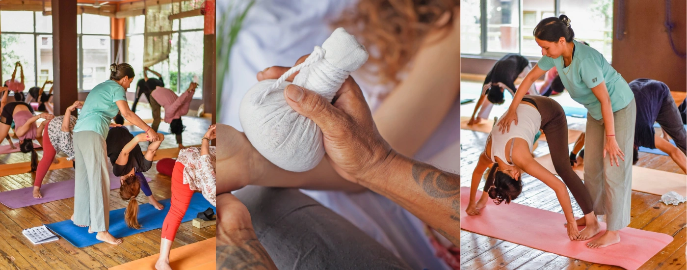 200 hour Yoga TTC India