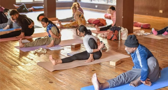 300-hour Yoga TTC in Goa Highlights